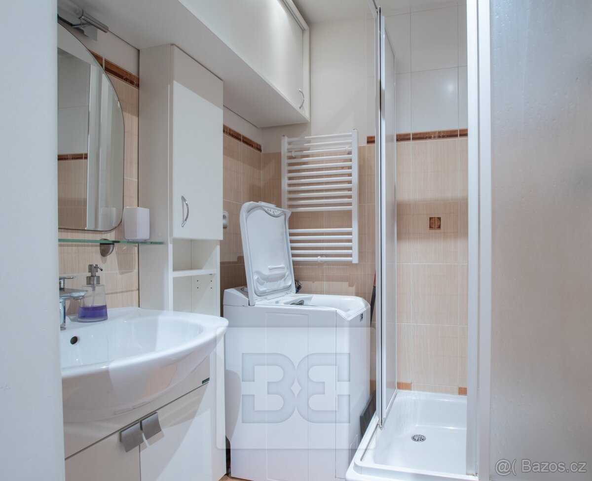 Pronájem bytu 1+kk 26 m², Praha - Holešovice, ev.č. N08519 - 4