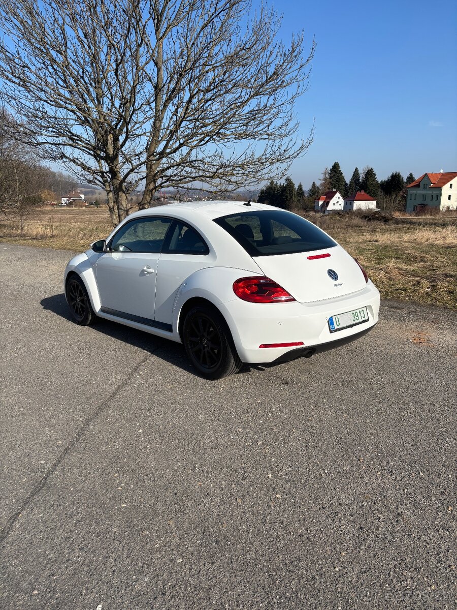 Vw beetle - 4