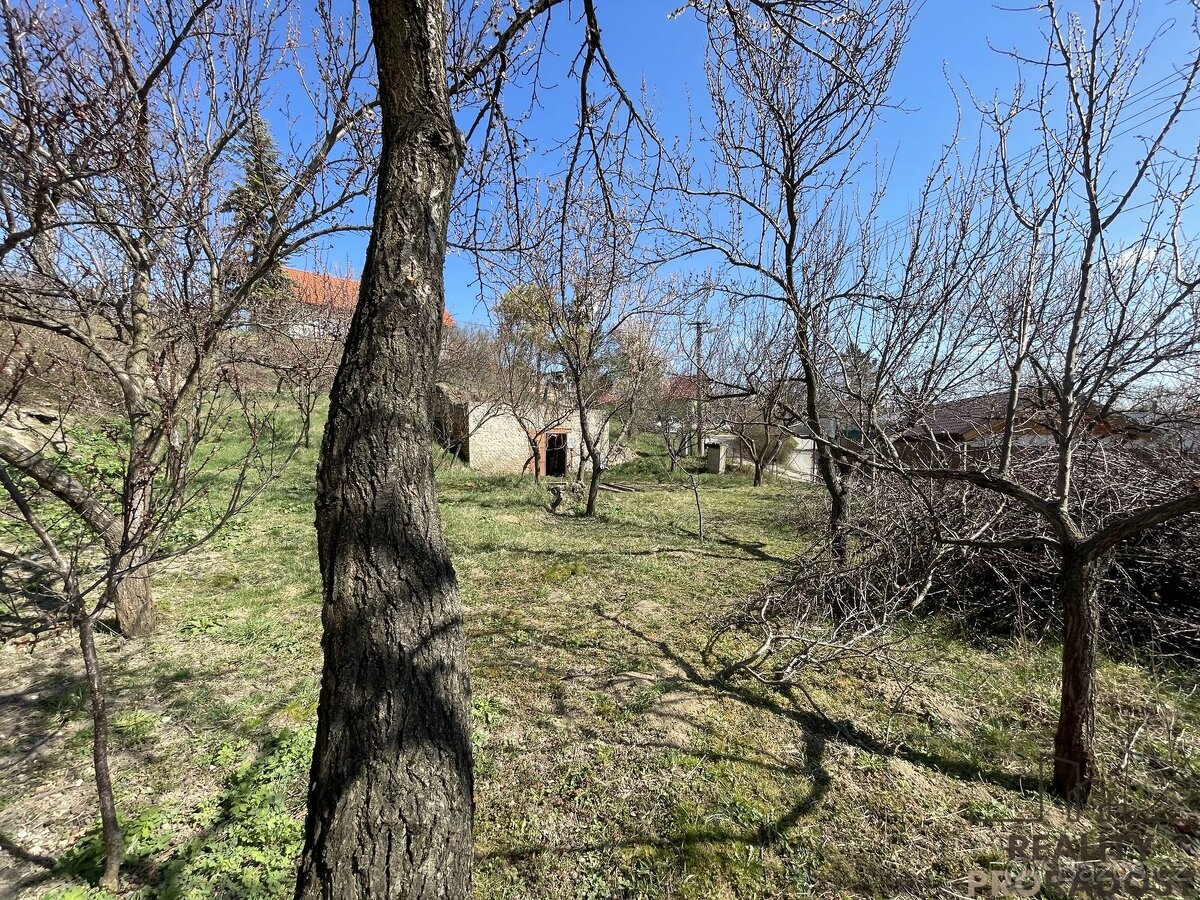 Prodej vinného sklepa s pozemkem (663 m2) ve Valticích-čás - 4
