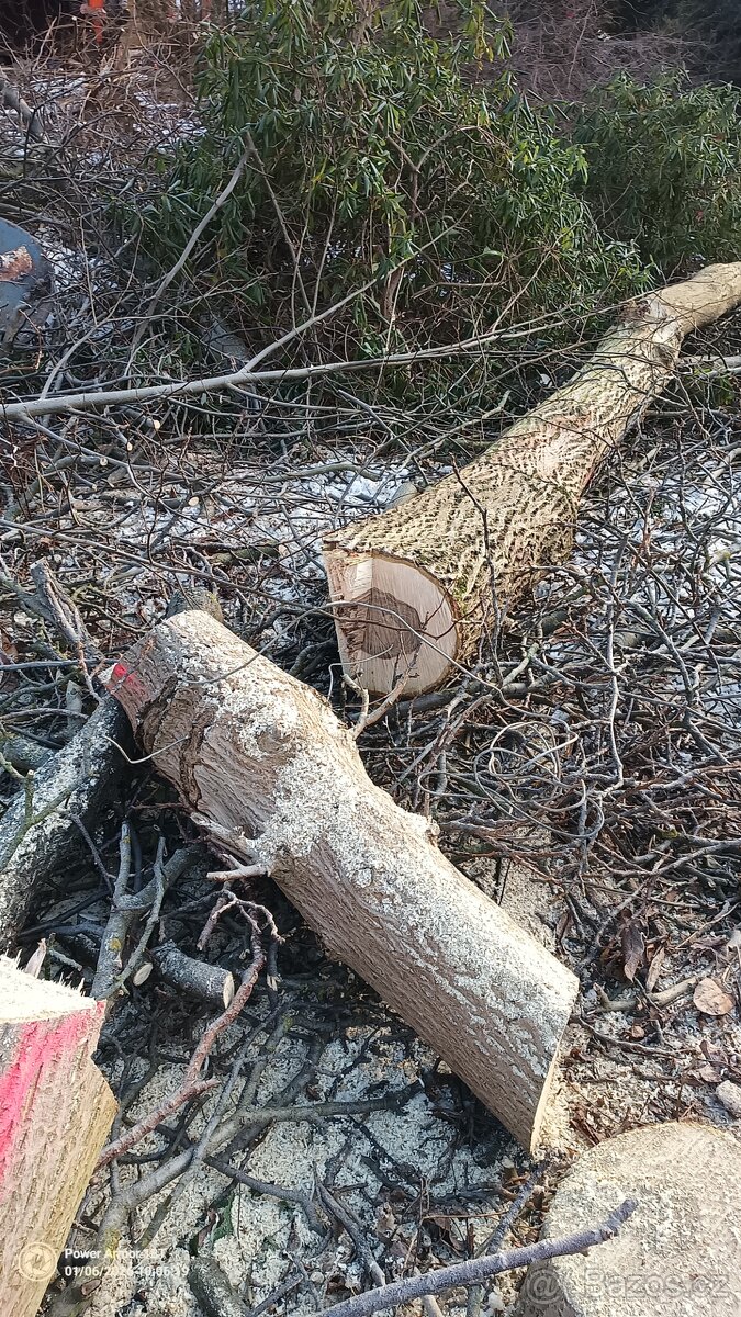 Ořechové dřevo - 4