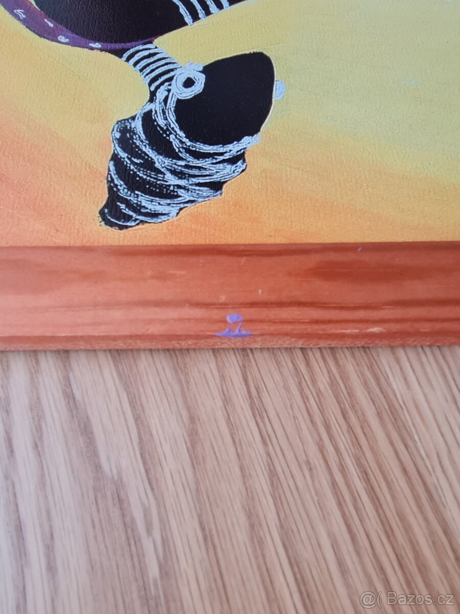 Obraz 74x34 cm motiv Afriky - 4