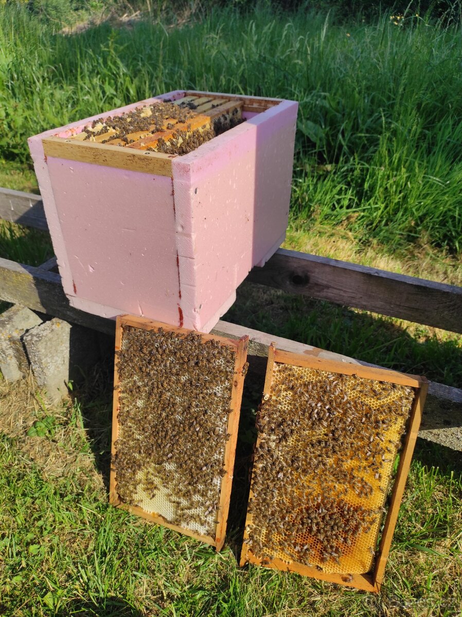 včelí med květový, smíšený, tmavý, pastovaný - 4