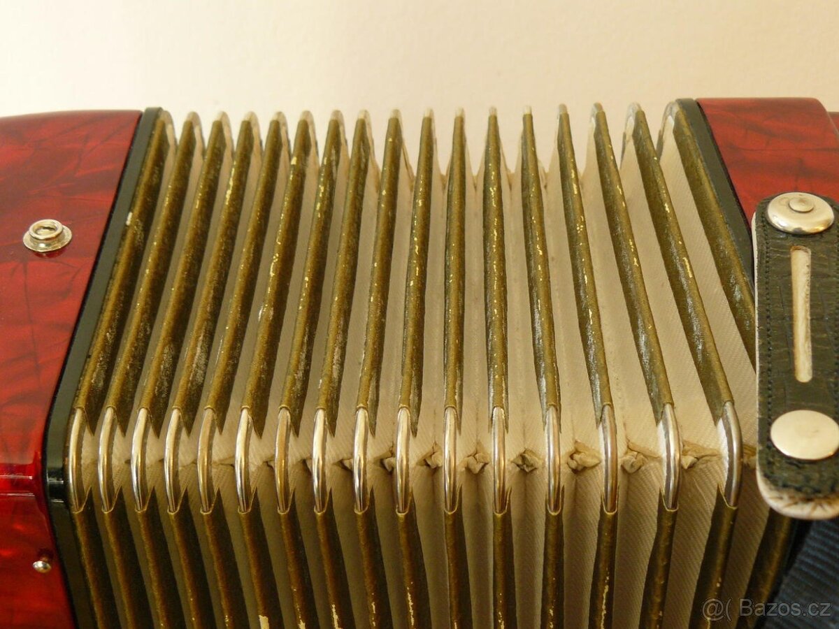 Nabízím akordeon Delicia Junior IV - 4