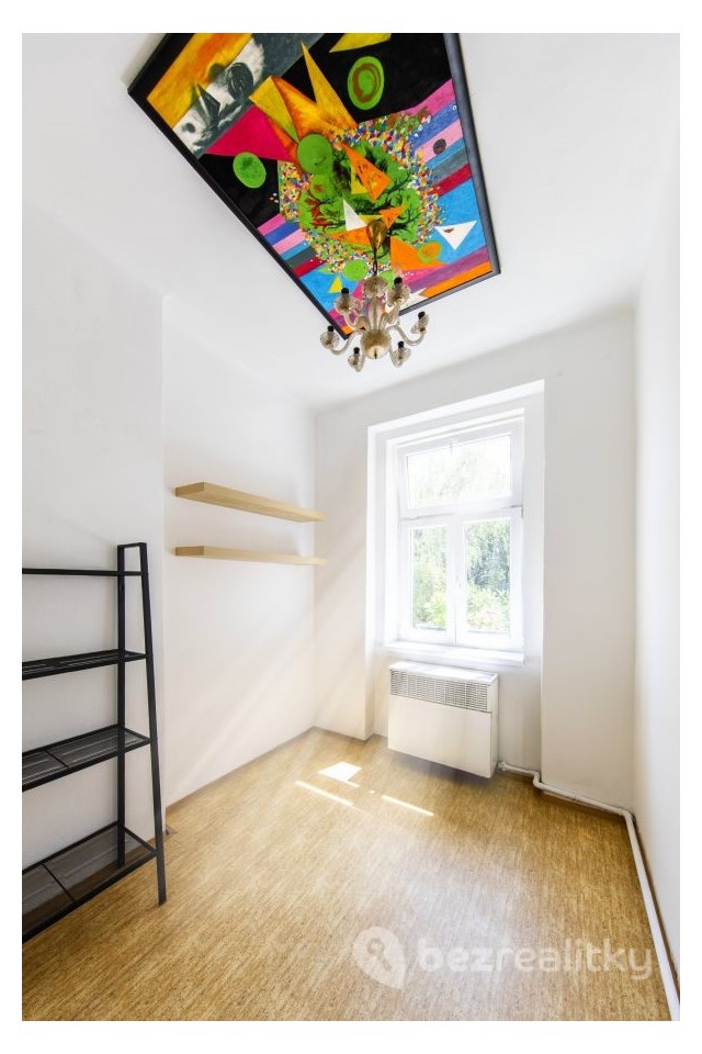 2+1 Žižkov 47m2 - 4