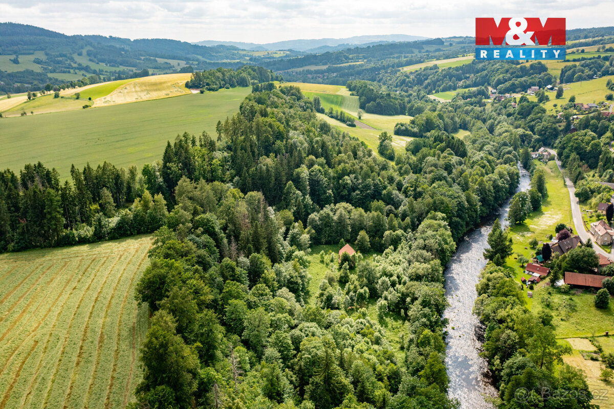 Prodej lesa, 36610 m², Peřimov - 4