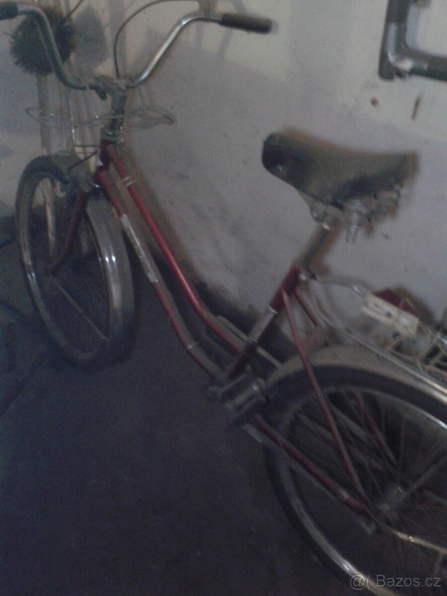 DIVCI VELAMOS KOLO - 4