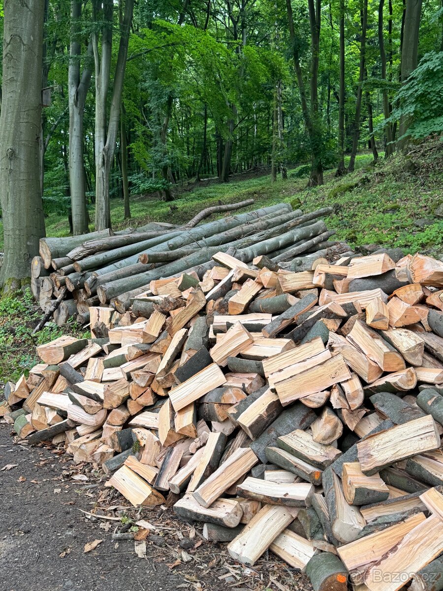 Prodej palivového dřeva - 4