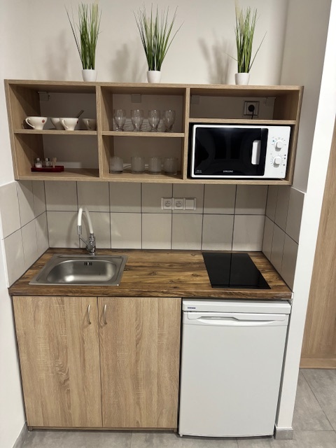 PRONÁJEM OBCHODNÍCH PROSTOR / KANCELÁŘE LITOVEL - 4