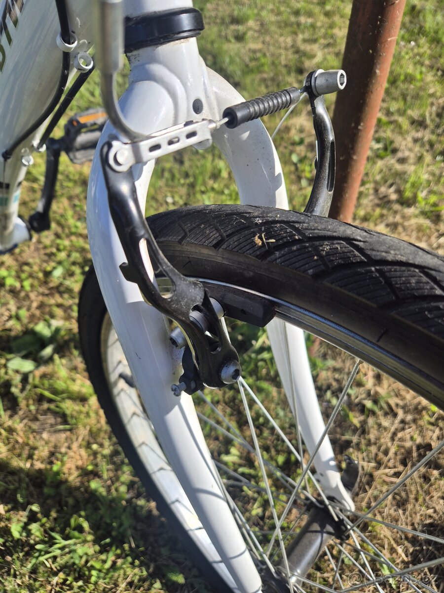 Rockrider - 4
