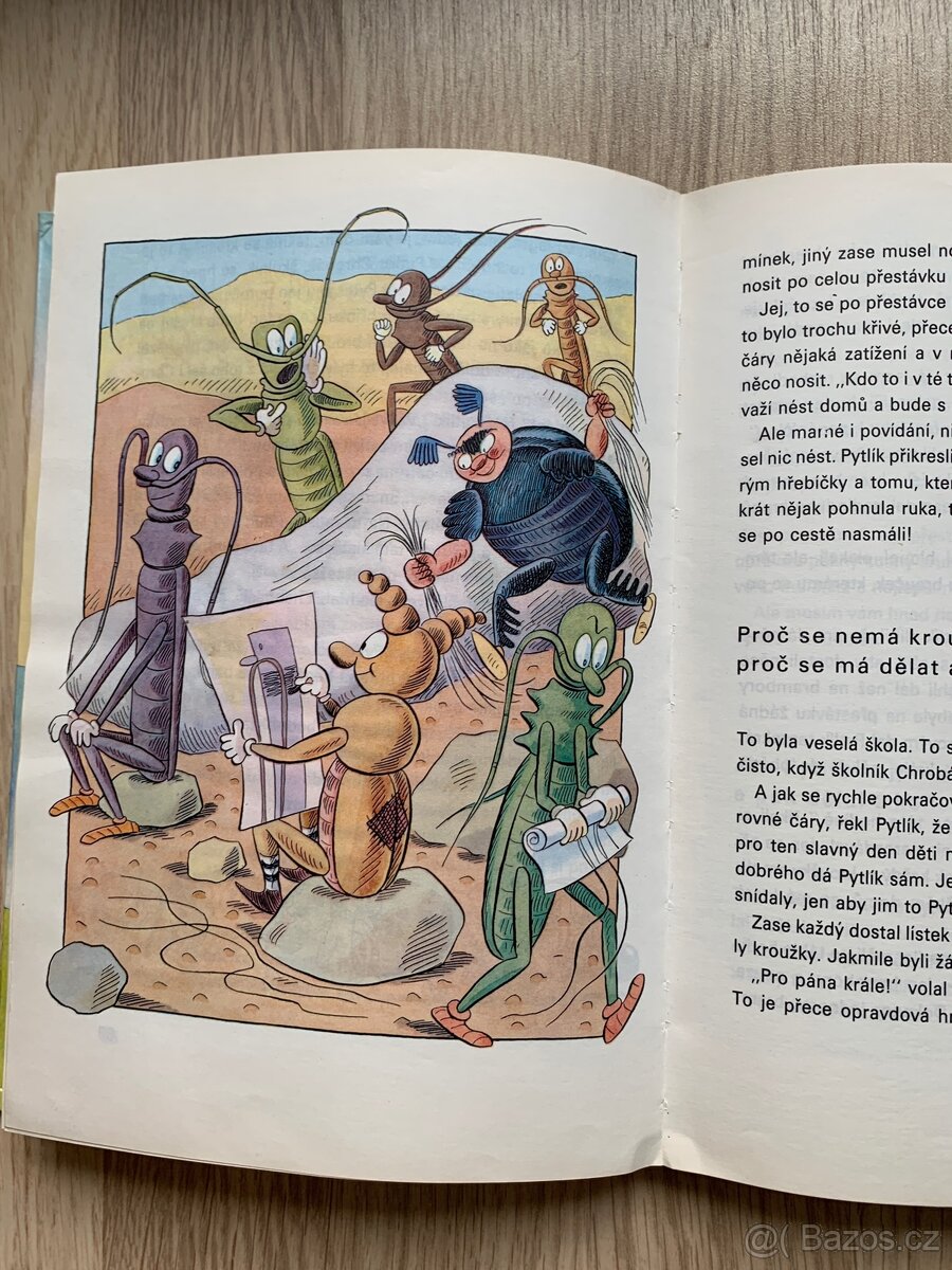 Kniha - Brouk Pytlík - 4