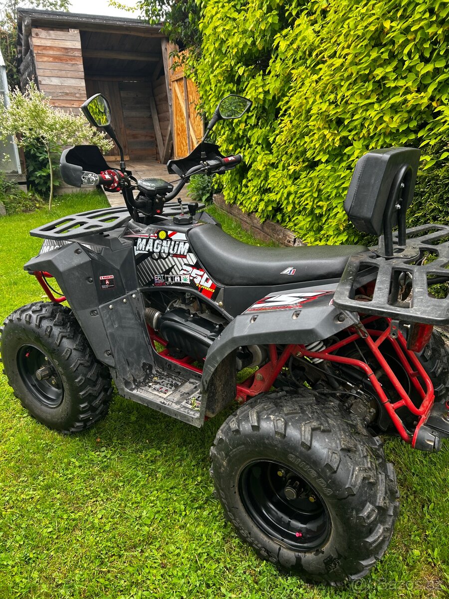 Apollo magnum 250
