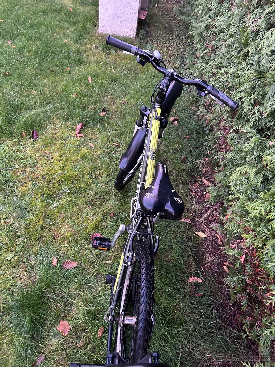 Leaderfox xc spider - 4