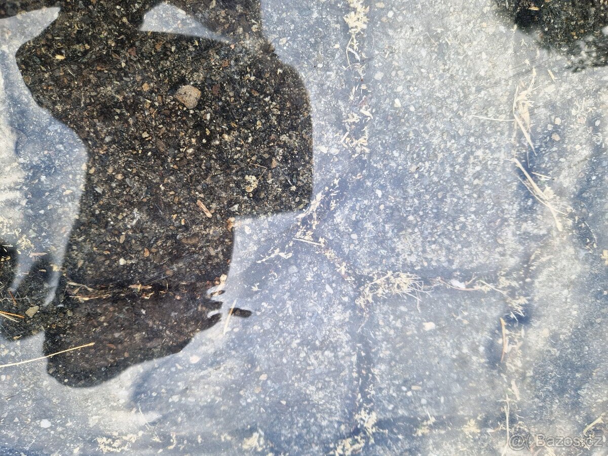 Windsurfingový komplet F2 170 litrů s plachtou 6,5 výborný - 4