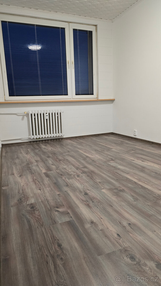 Byt 3+1 Bílina, Čapkova ul. - 4