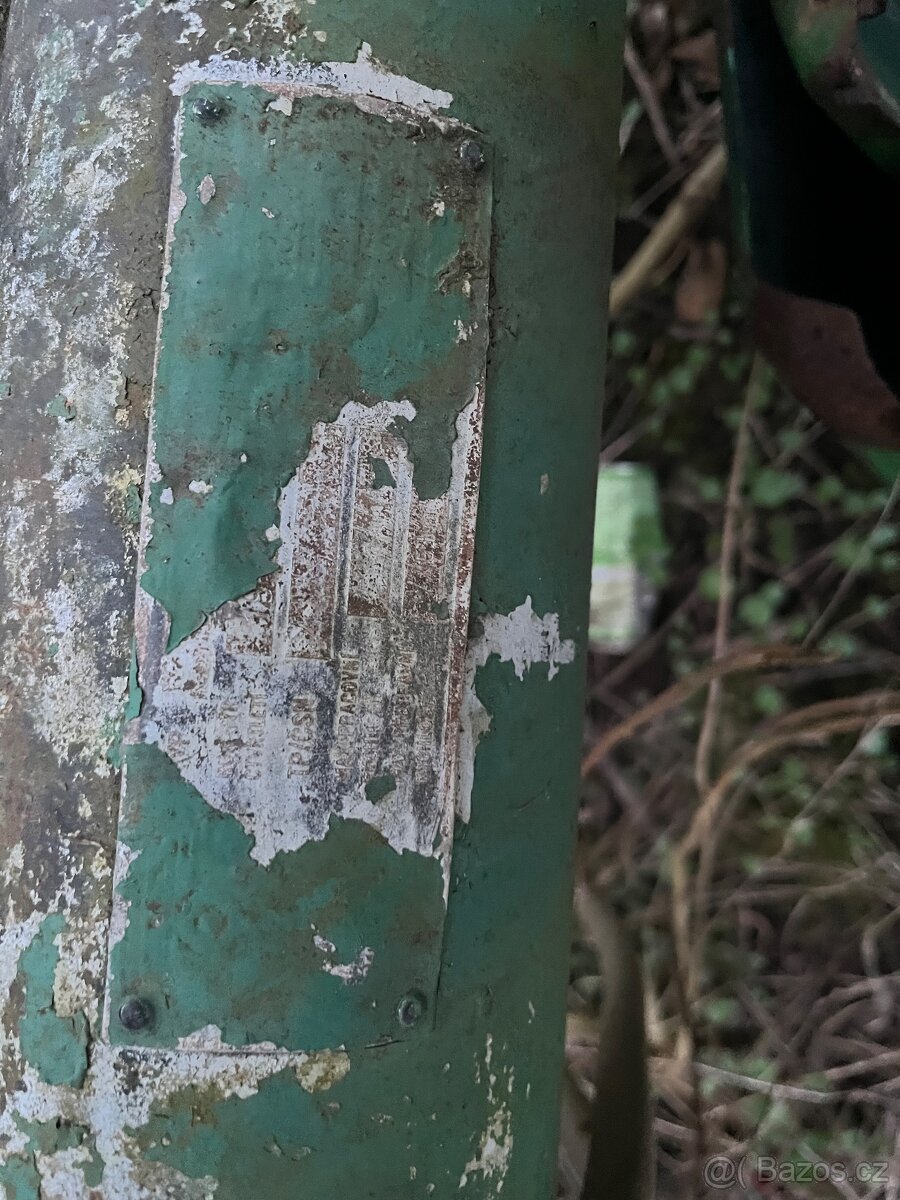 Pluh dvouradličný - 4