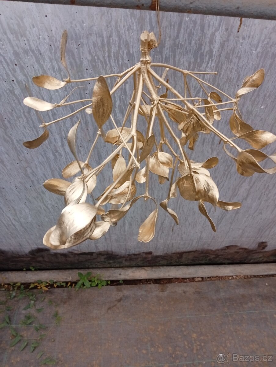 Jmelí zlaté prodam - 4