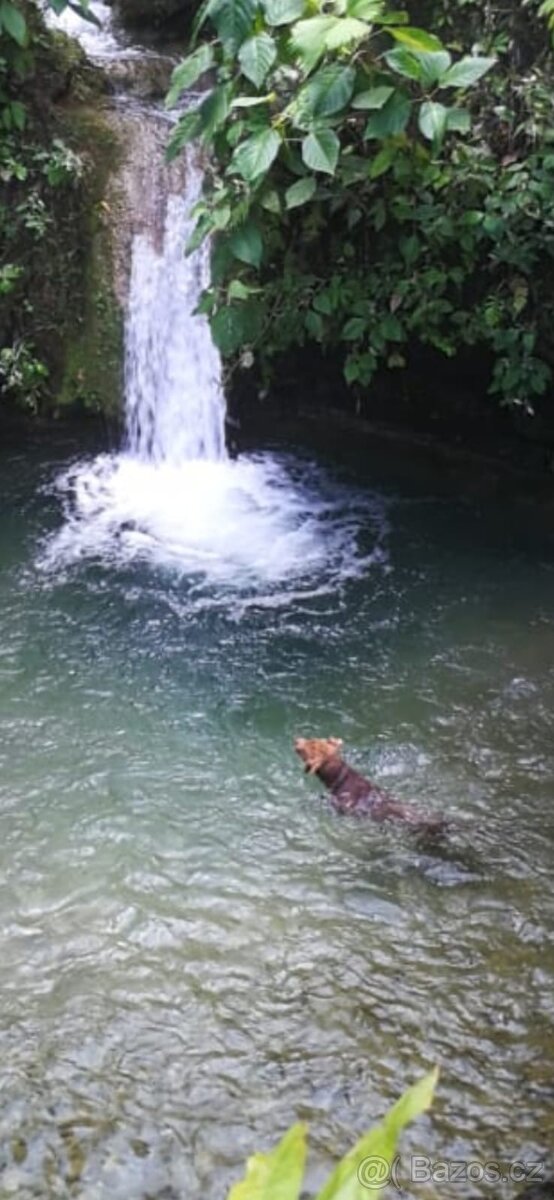 Farma Kostarika Guayacará 152 Ha - 4