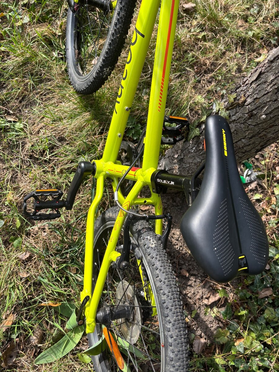 Beany Zero 20 – lehké dětské kolo - 4