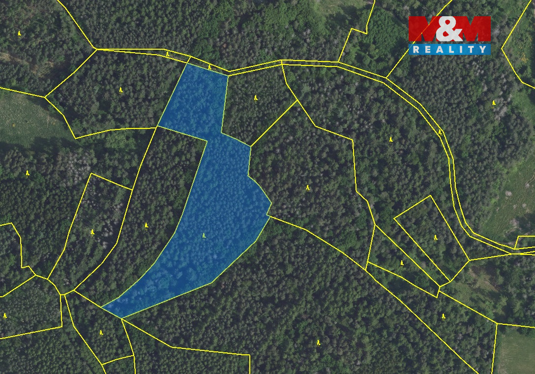Prodej lesa v Petrovicích 16220 m² - 4