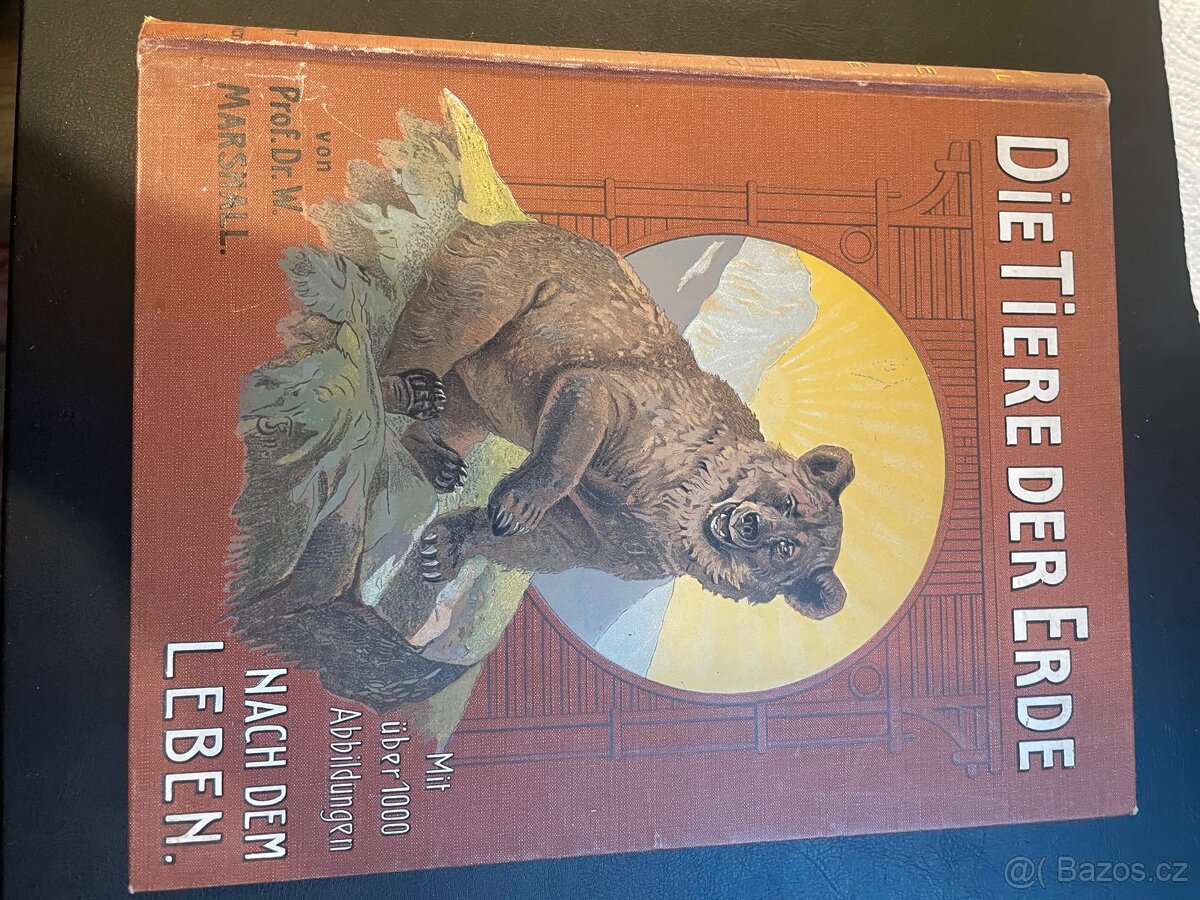 Die Tiere der Ende Prof.Dr. W Marshall - 4