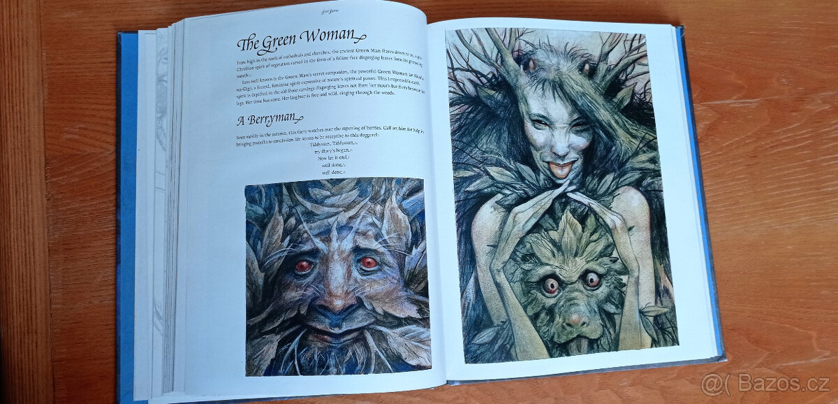 Brian Froud - velké knihy ilustrací víl a skřítků + karty - 4