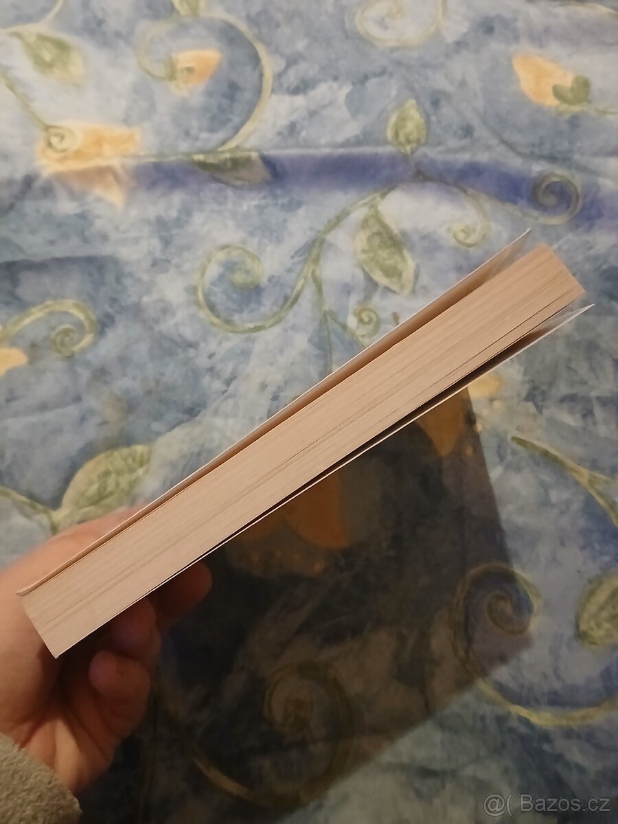 Agorafobie a panická porucha - 4