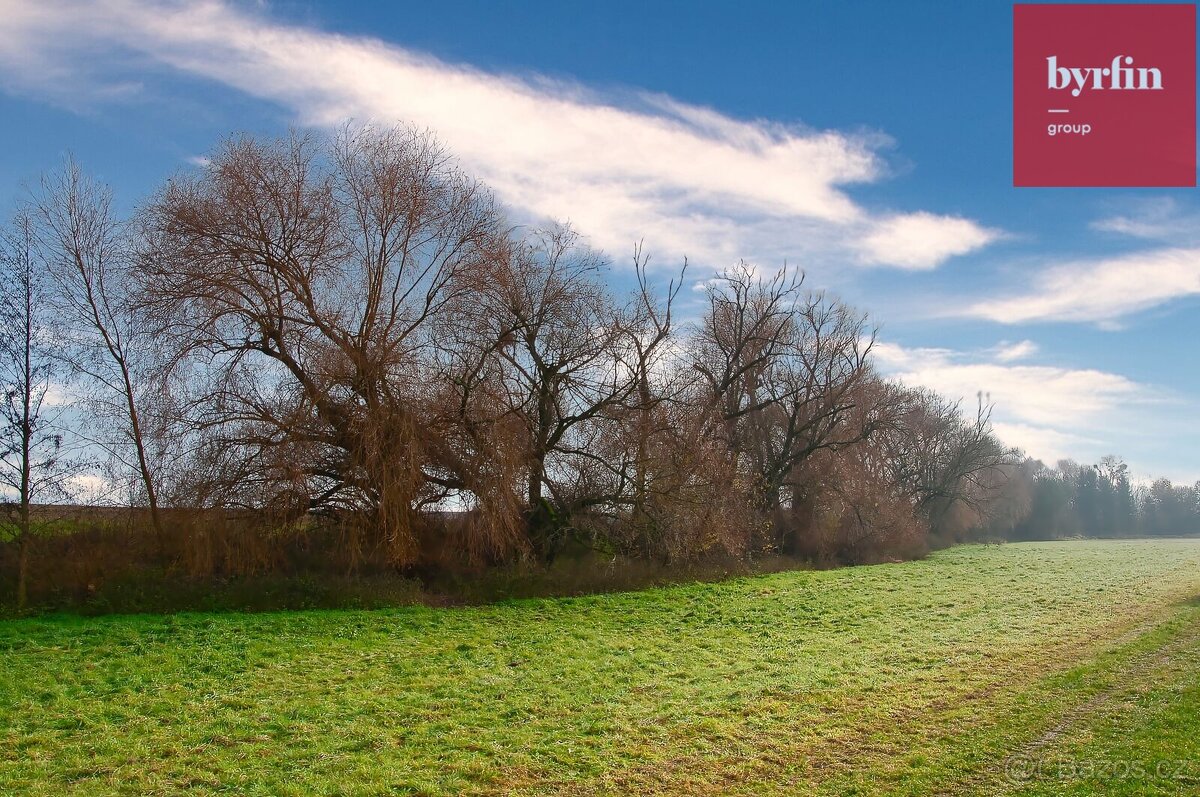 Prodej souboru pozemků u obce Bukovany - 4