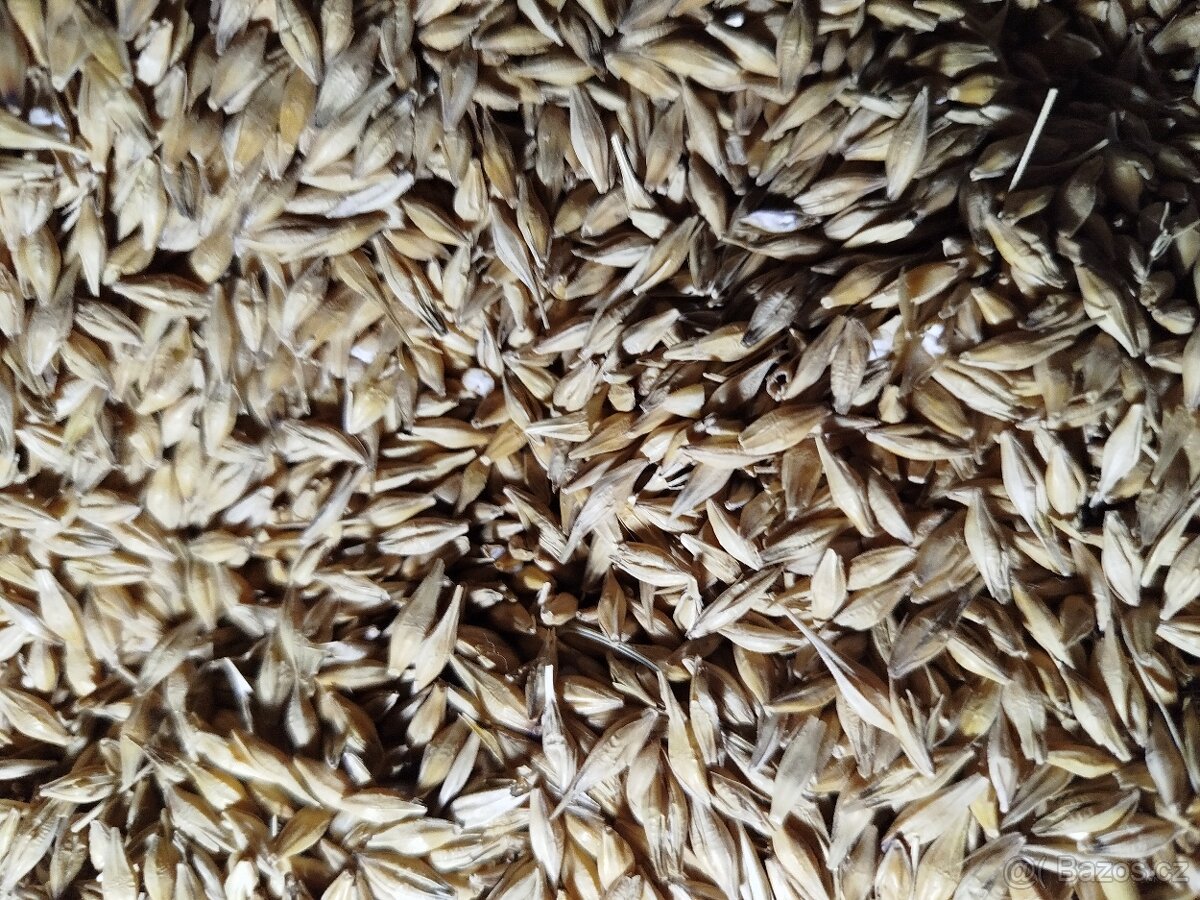 Ječmen krmný pytlovaný - 4