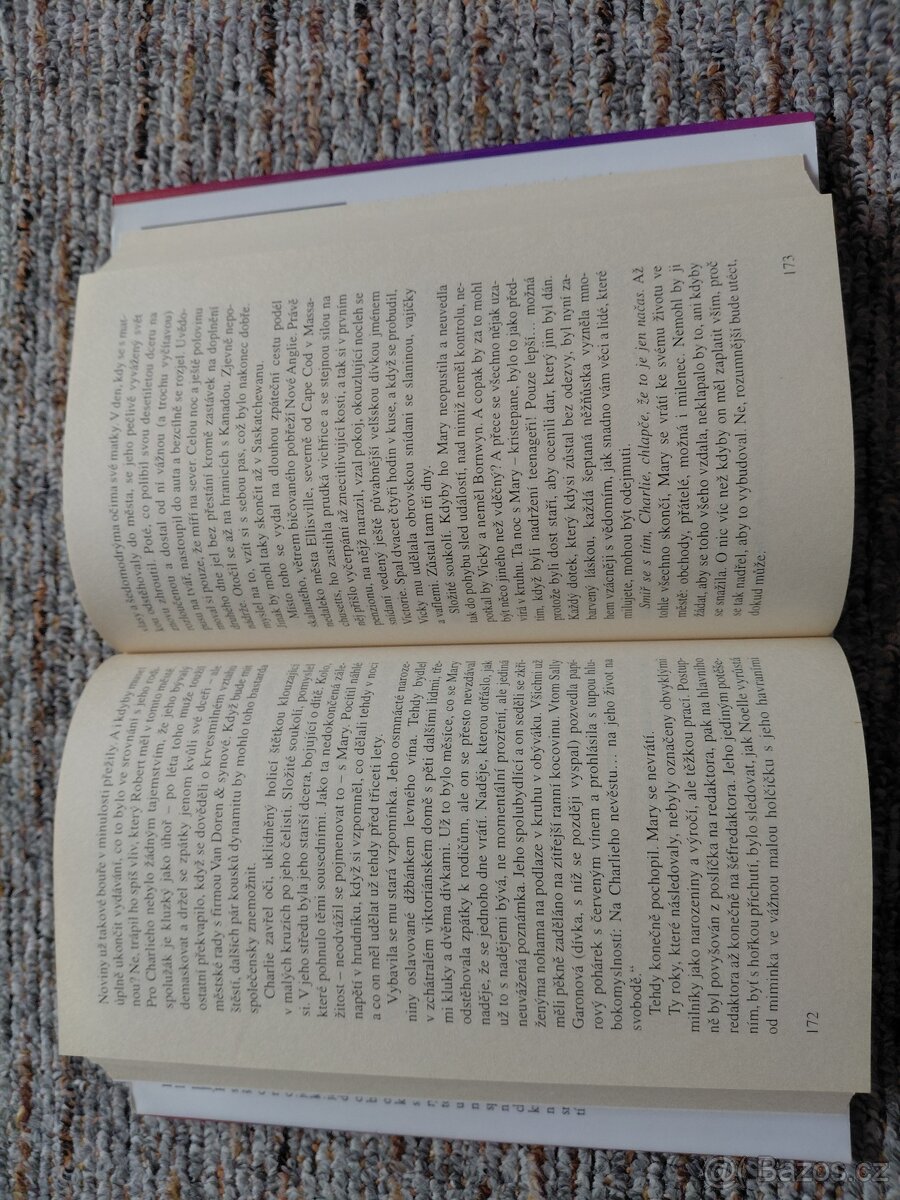 Eileen Goudgeova Vyhaslá vášeň - 4