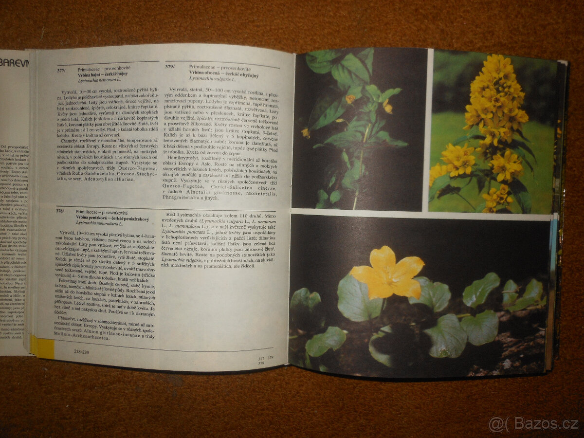 Barevný atlas rostlin - 4