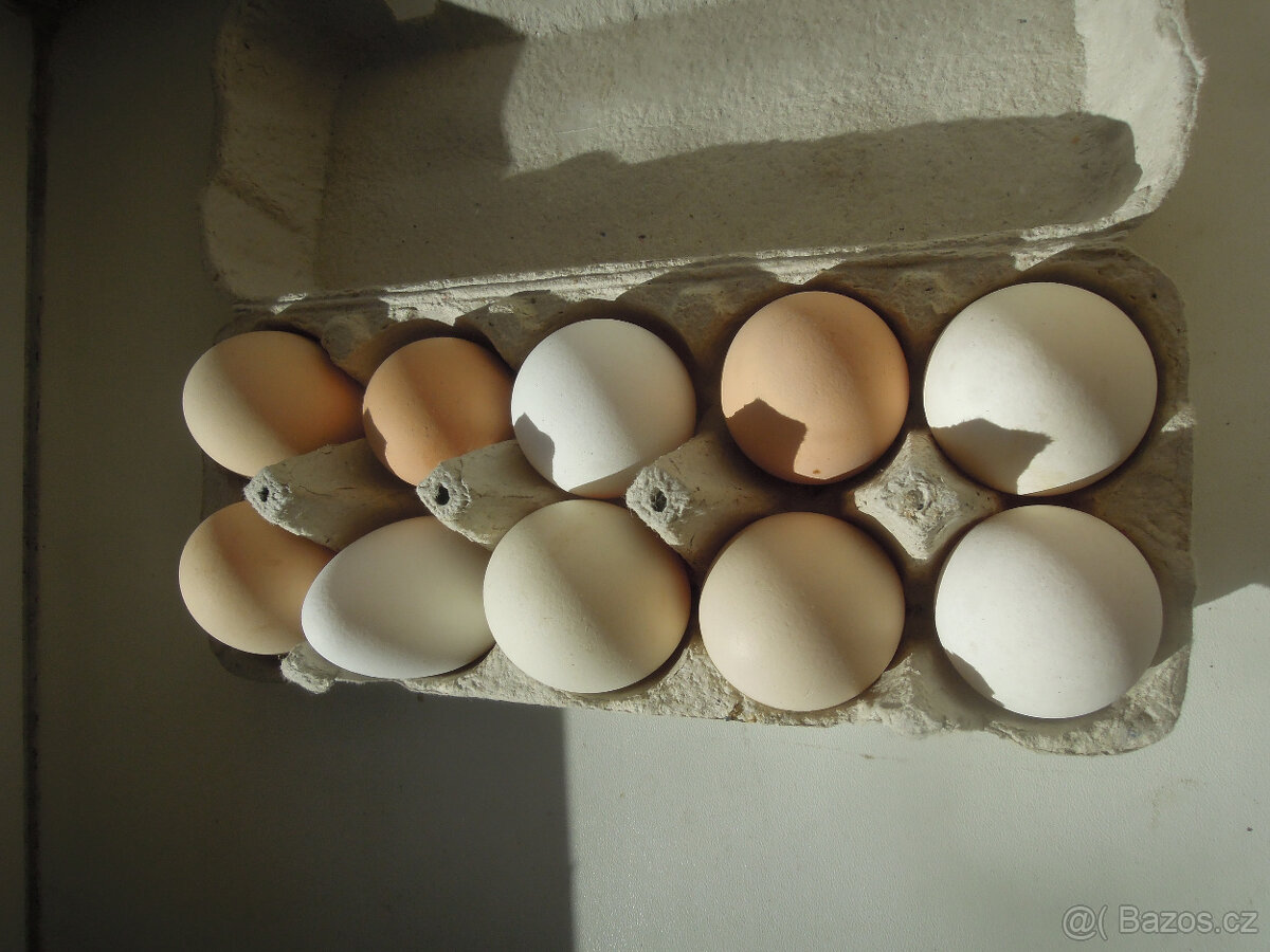 Domácí vajíčka - 4