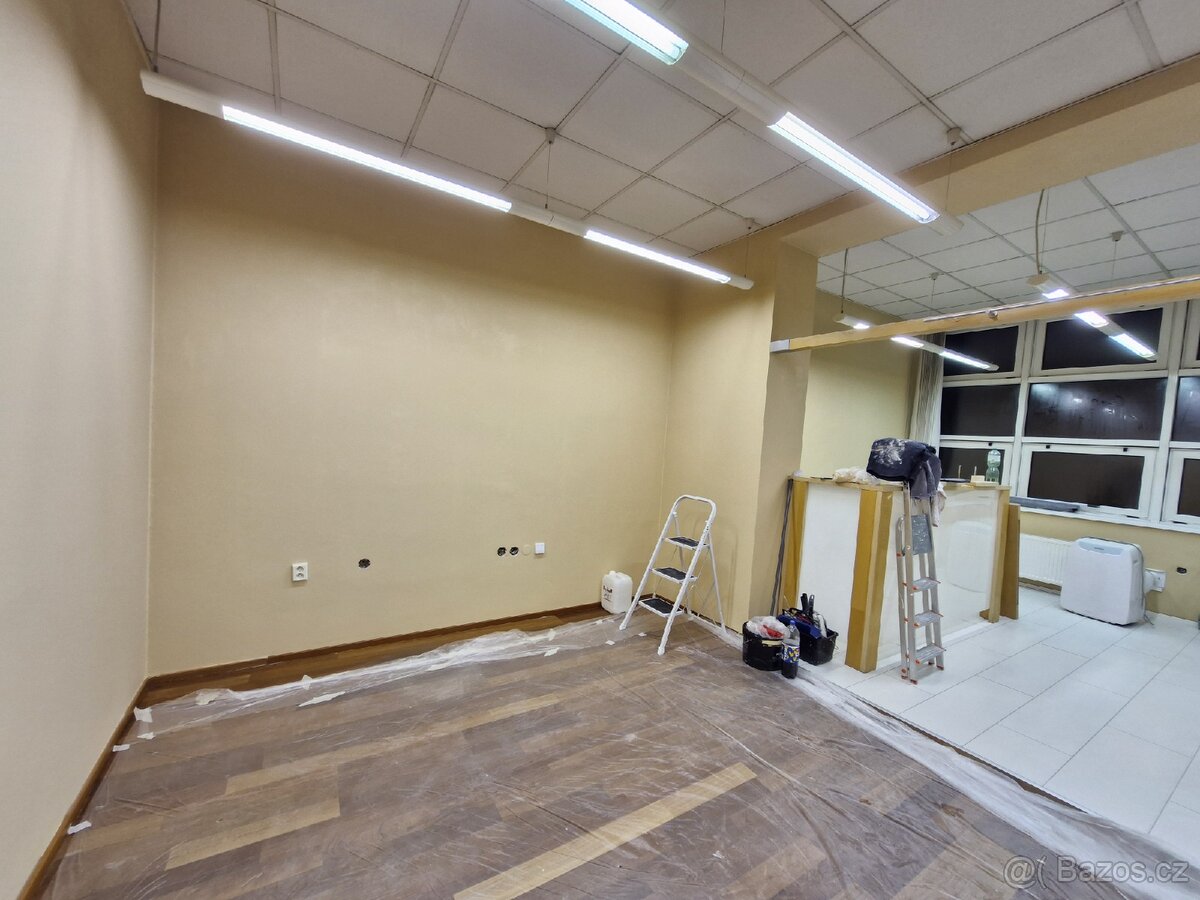 Nabízím malířské práce. Malování bytů. - 4