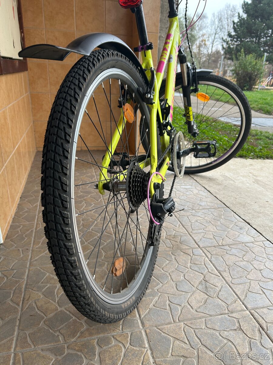 Leader fox - kolo - 4