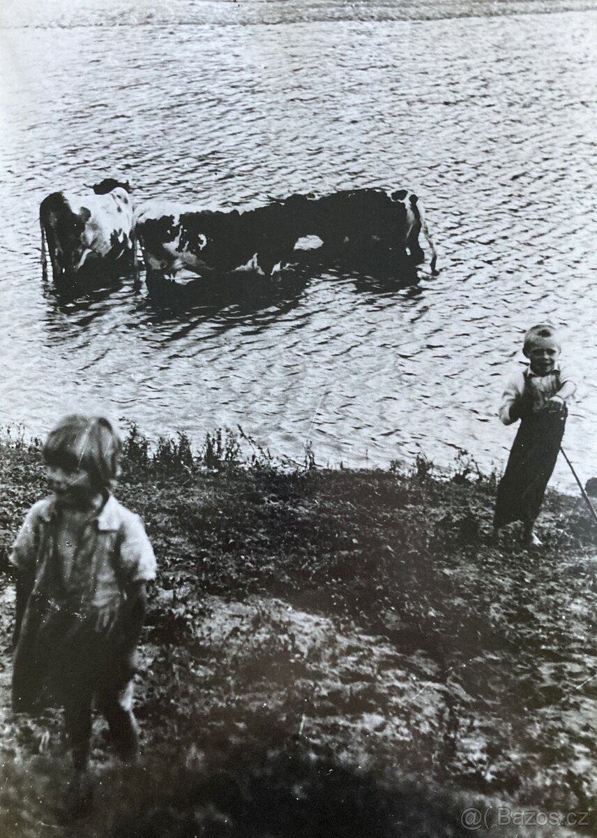 Fotografie Irena Bluhová (1904-1991) - 4