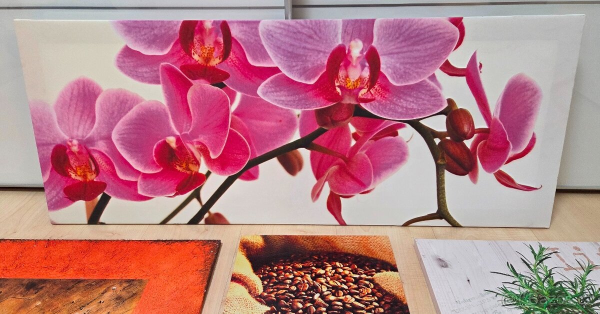 Prodám obrazy dle foto - 4