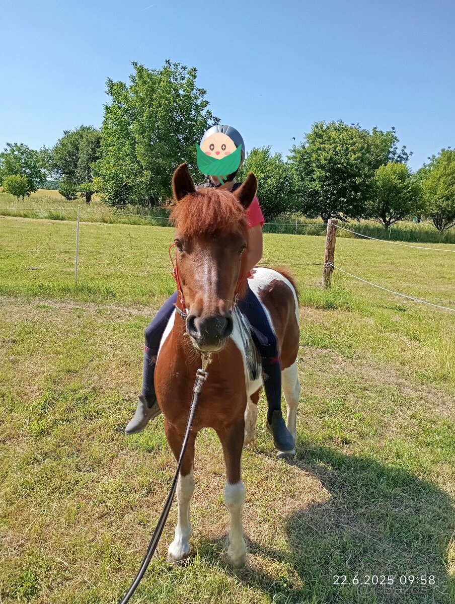 Pony klisna - 4