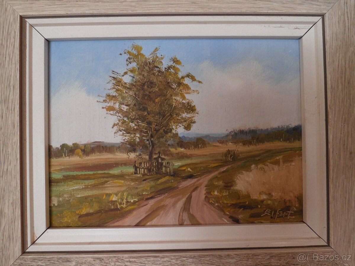 Obraz horského jezera + další obrazy - 4