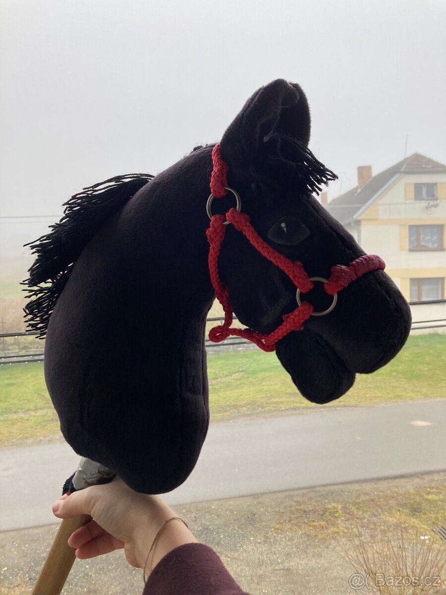 Hobby horse - 4