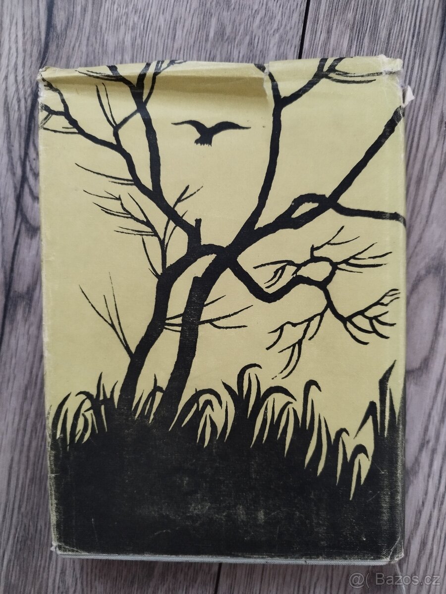 Rybářská knížka - 4