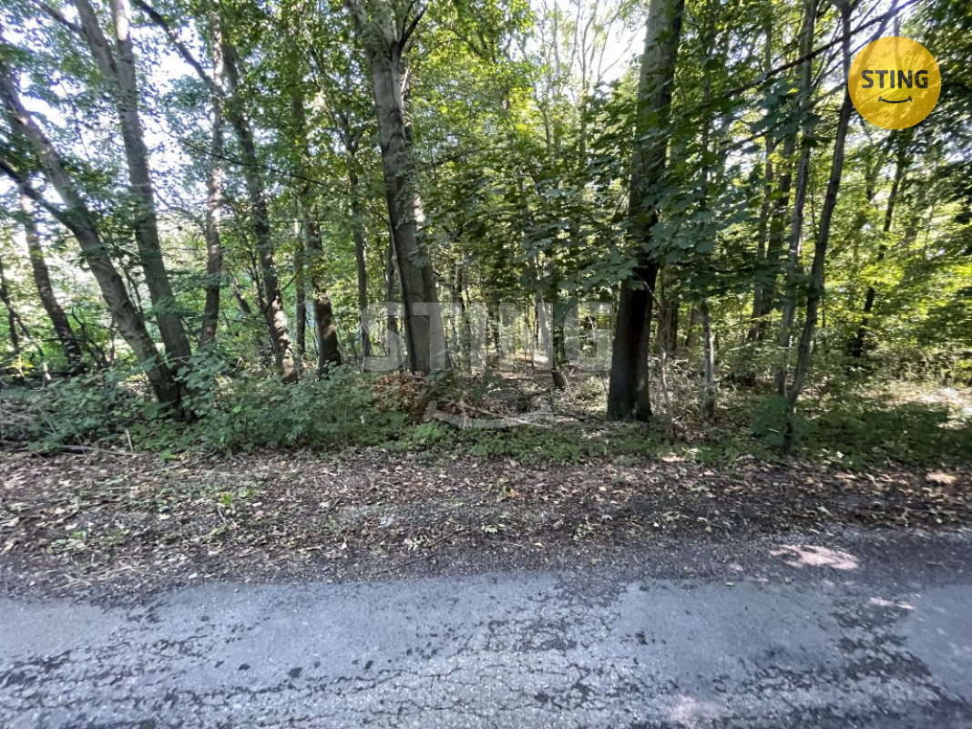 Prodej lesa, 9.789 m2, Hnojník, 133518 - 4