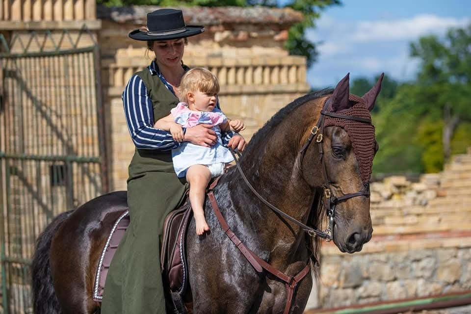 PŘIPOUŠTĚNÍ PSL - 4