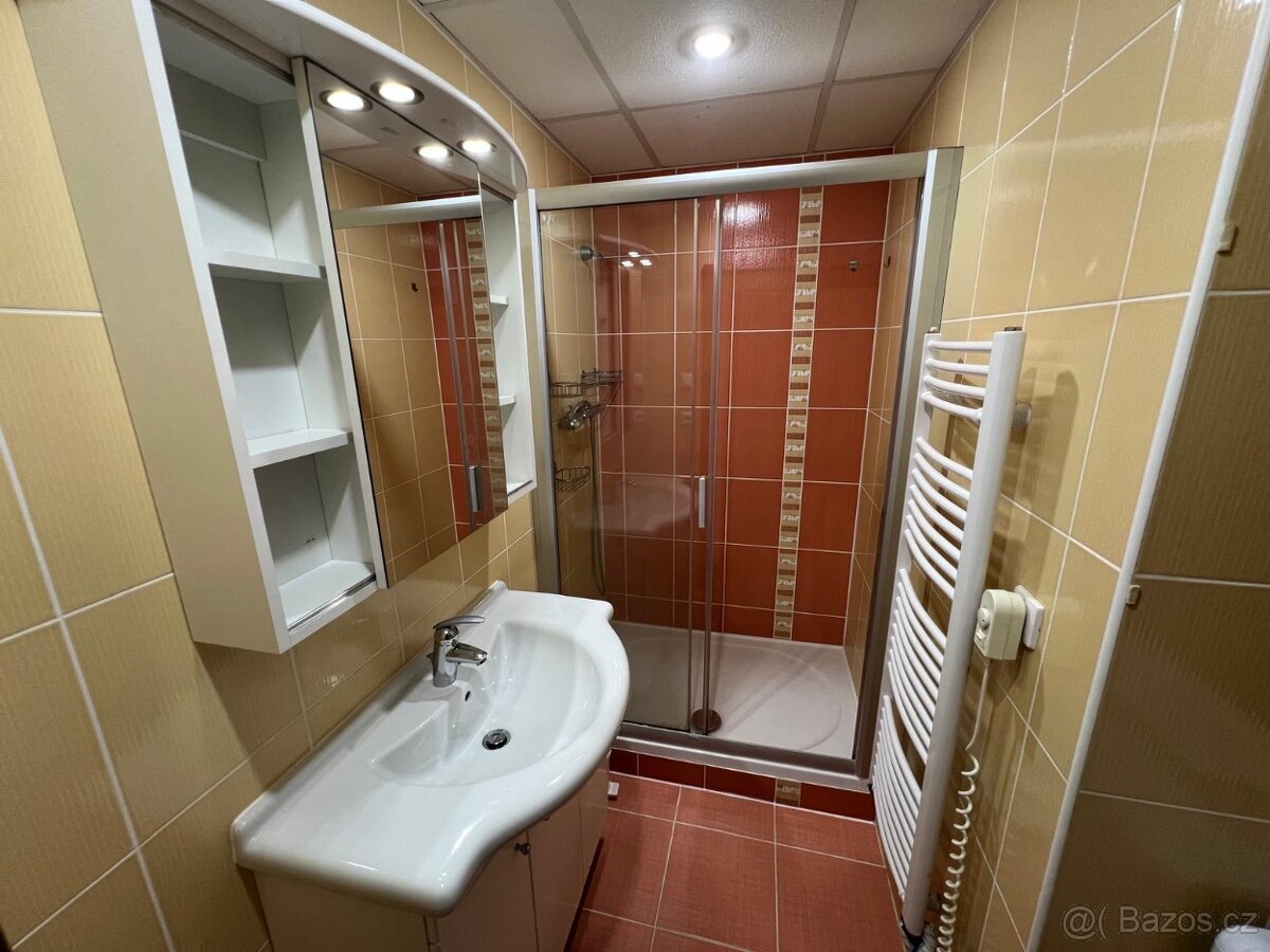 Pronájem bytu 3+1 - 4