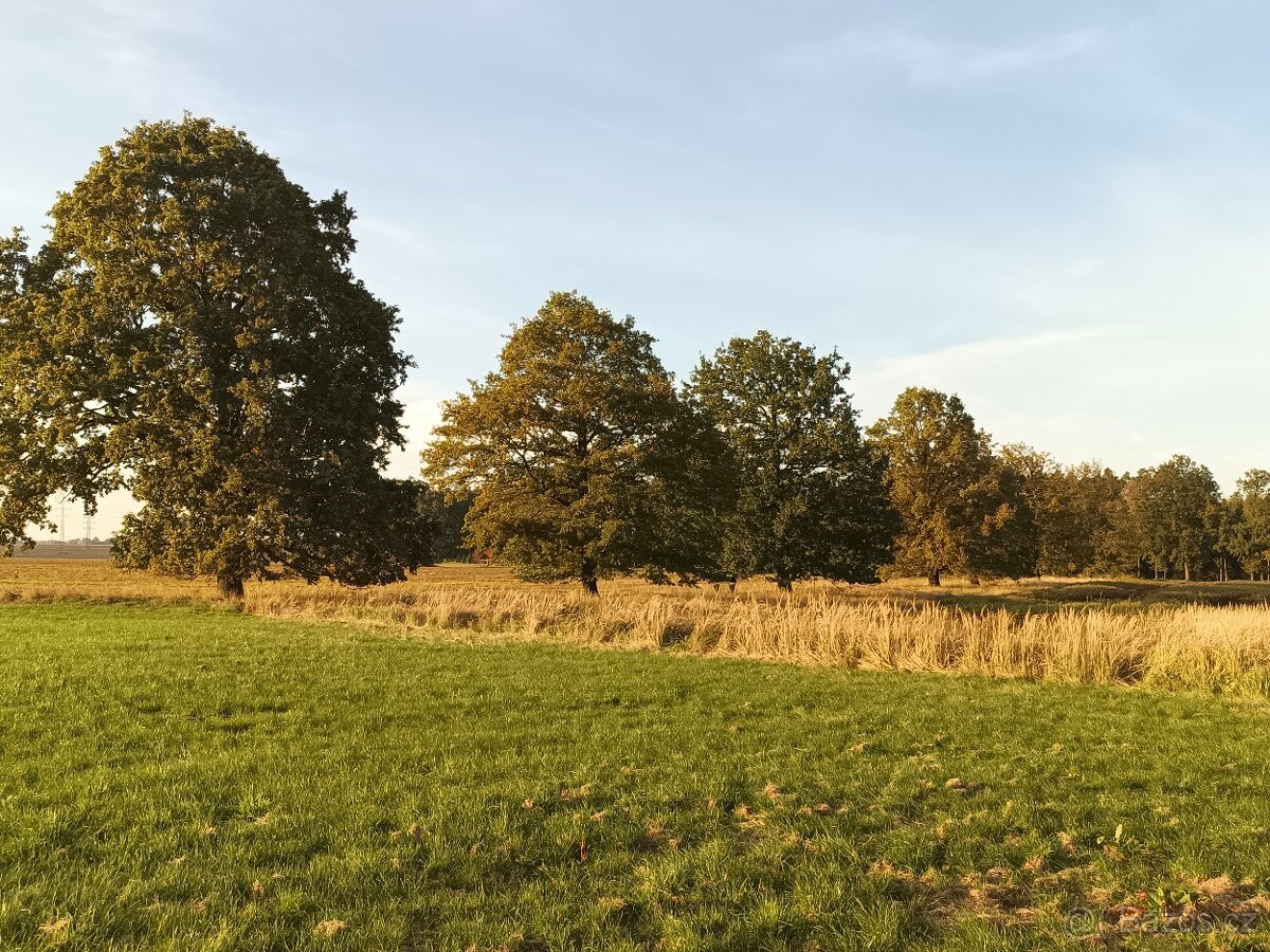 Pištín/ Češnovice Ostatní plocha 11644m2 - 4