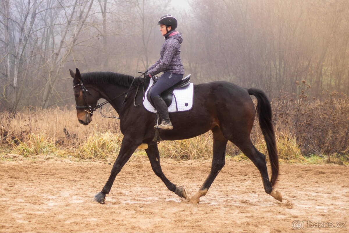 Líbivá klisna do sportu - 4