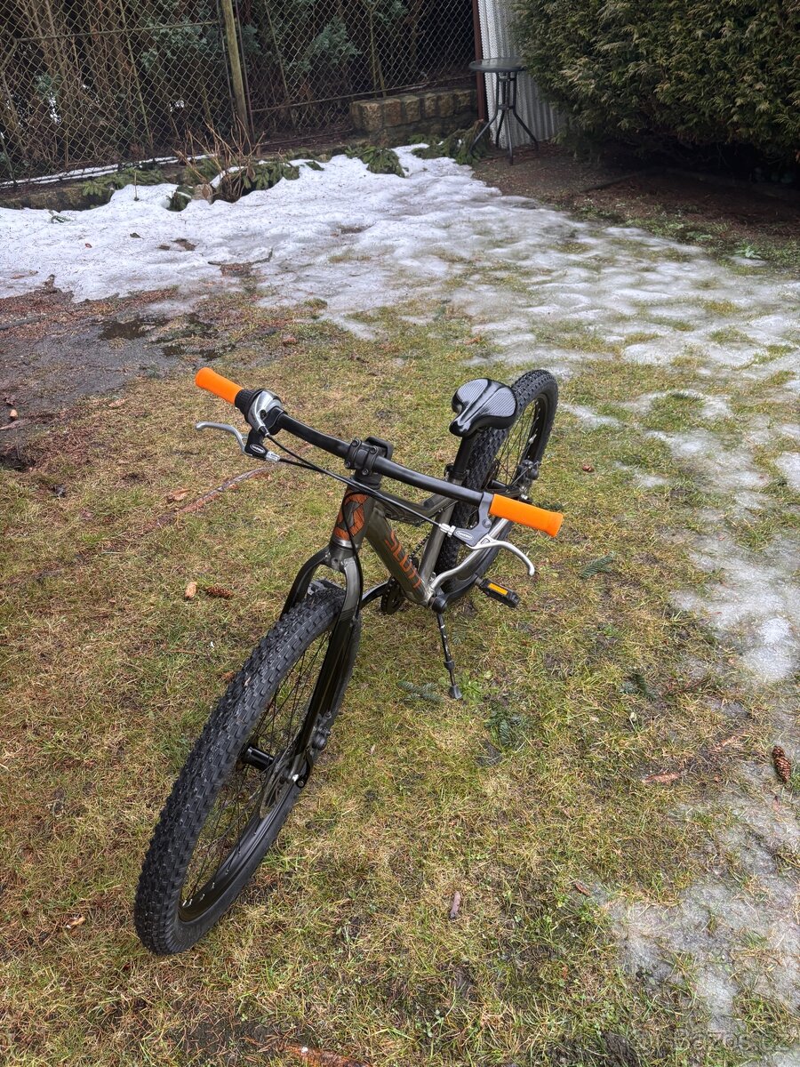 Scott Roxter 24” - 4