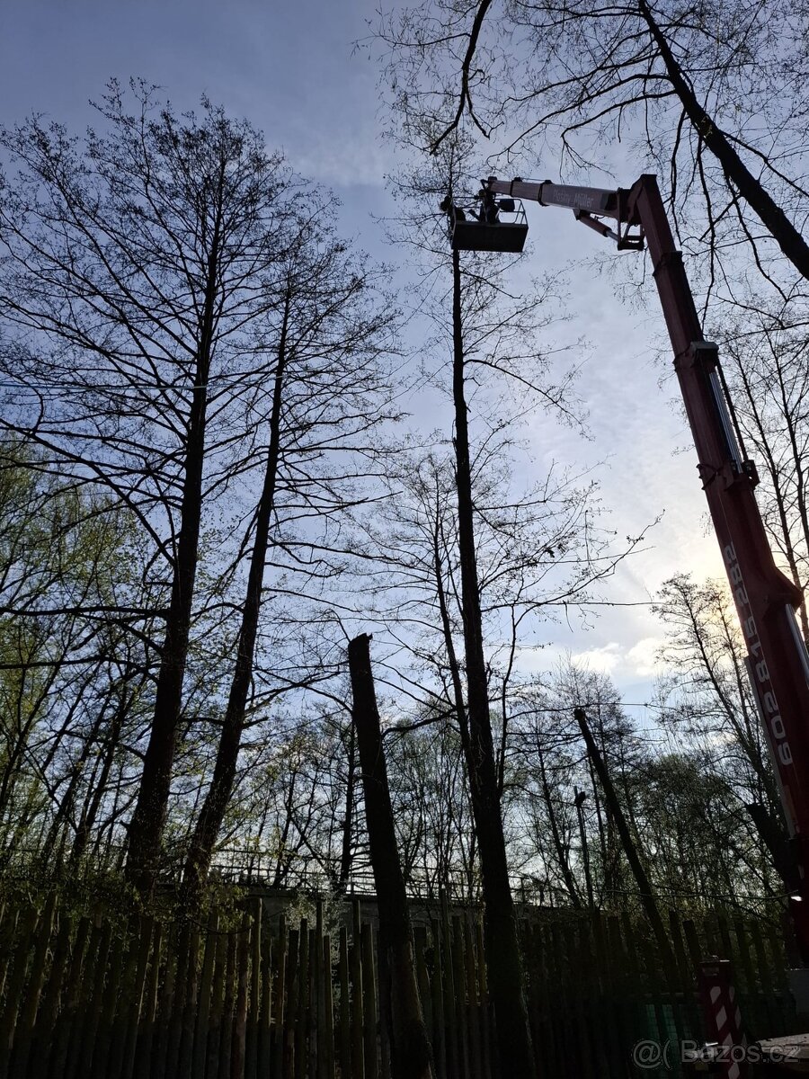 Rizikové kácení-výškové práce - 4