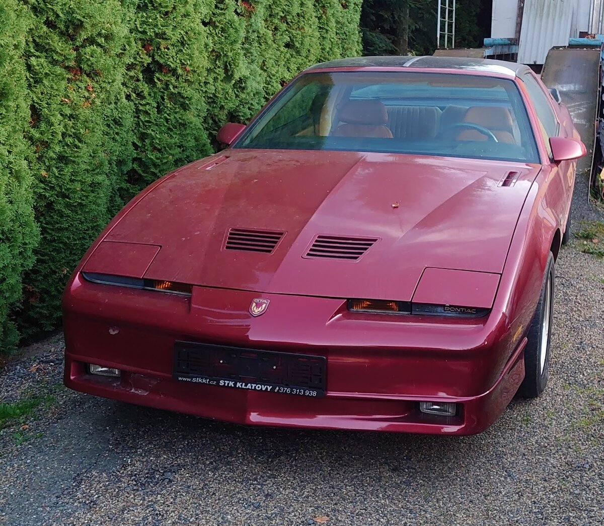 PONTIAC FIREBIRD TRANS-AM GTA - 4