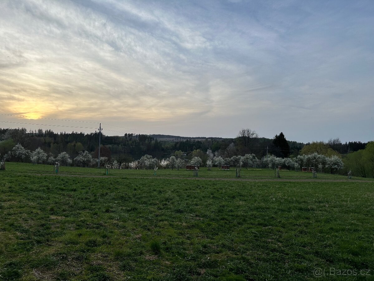 Prodám med a medovinu - 4