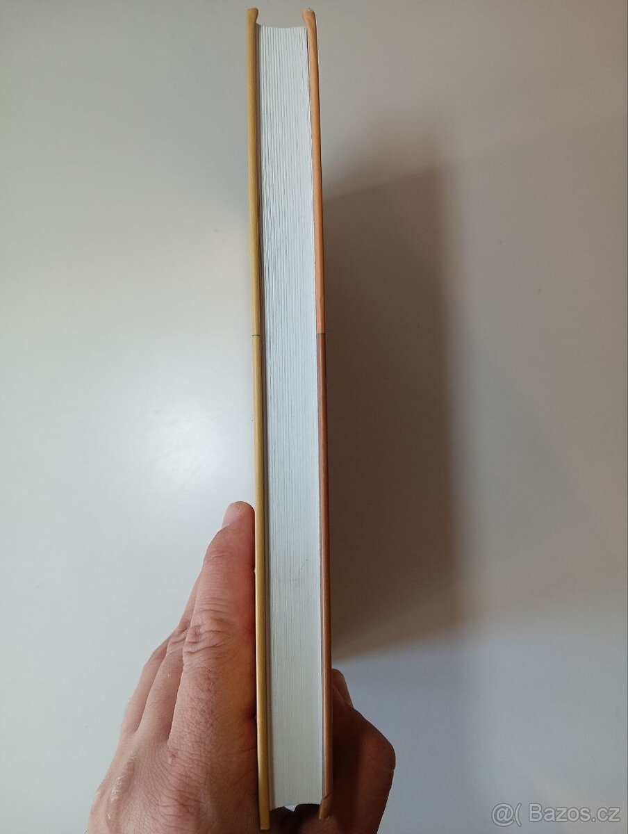 Investice do akcií - Jeremy J. Siegel - 4