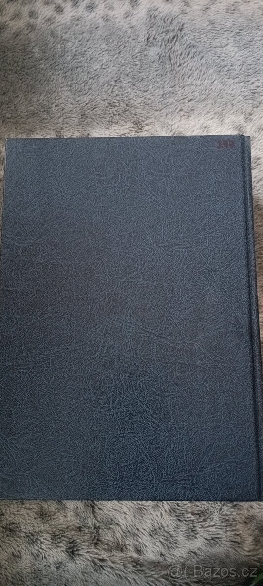 Websterův naučný slovník - 4